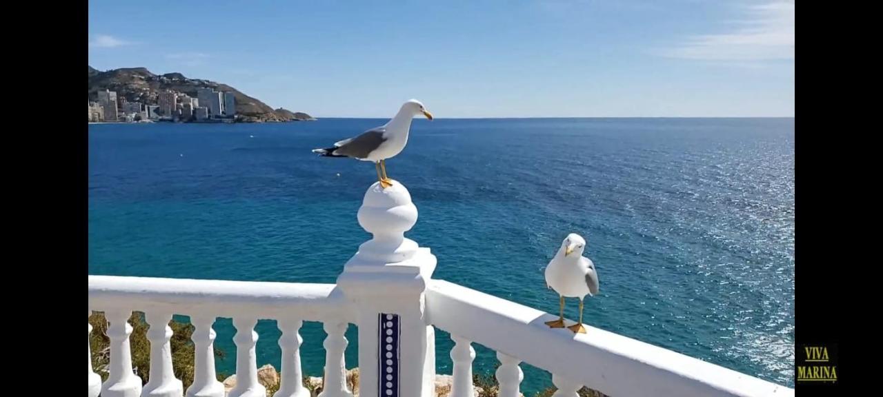 Apartamento Sun Beach Benidorm Kültér fotó